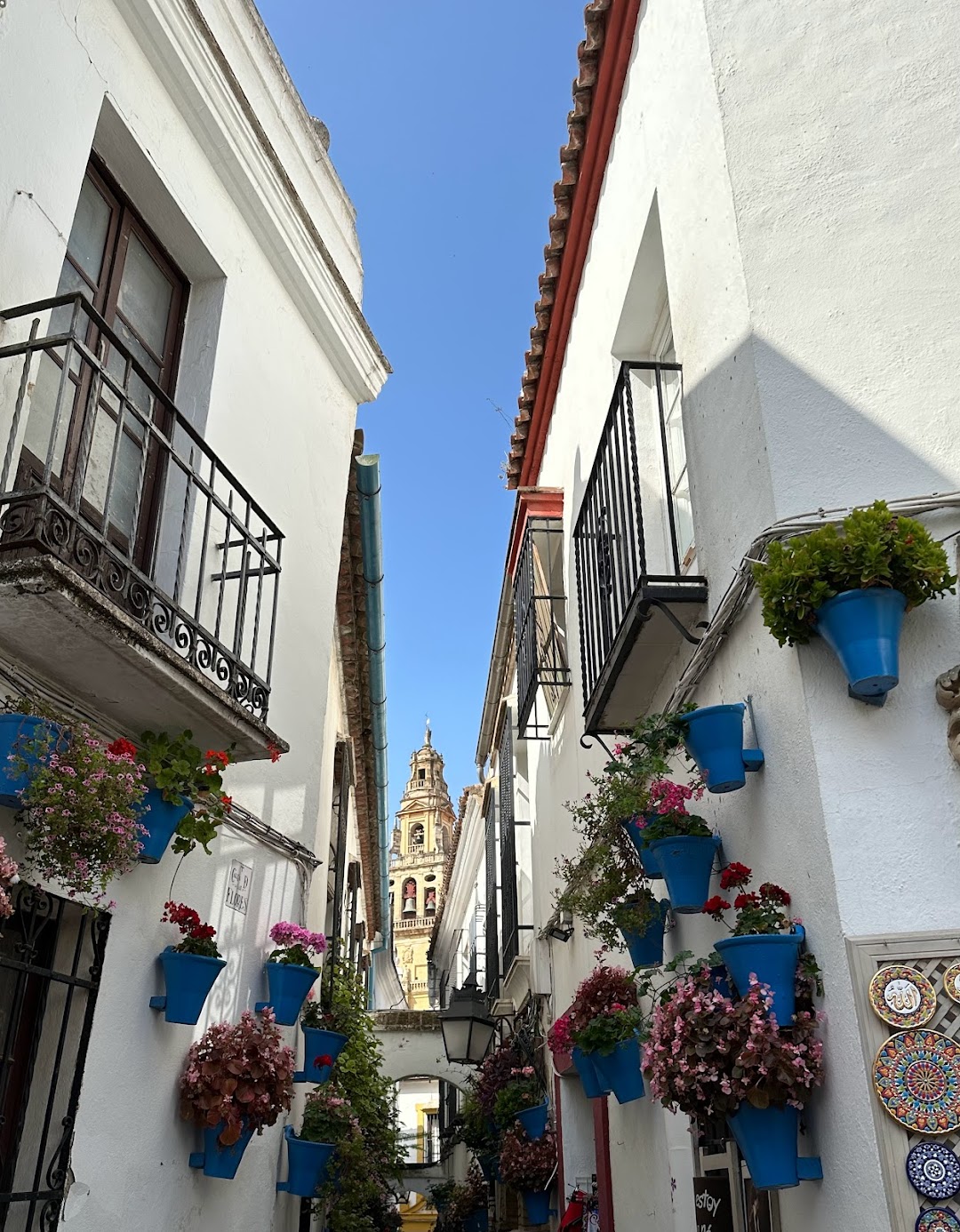 Spain For 6 Days