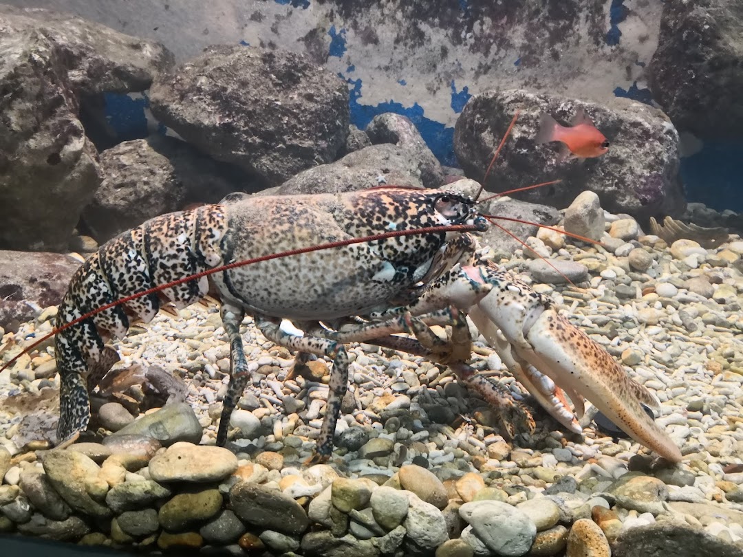 Corfu Aquarium
